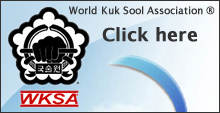 World Kuk Sool Association - visit website